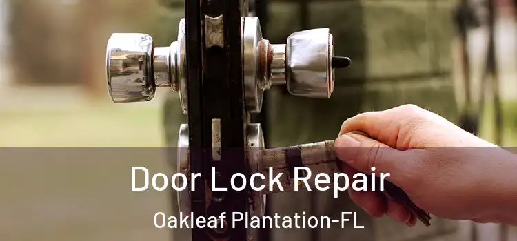  Door Lock Repair Oakleaf Plantation-FL
