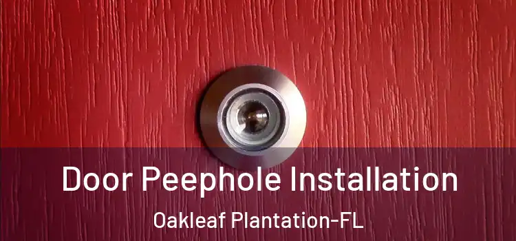  Door Peephole Installation Oakleaf Plantation-FL
