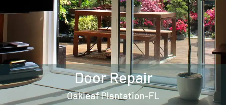  Door Repair Oakleaf Plantation-FL