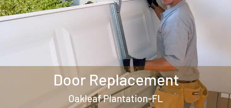  Door Replacement Oakleaf Plantation-FL