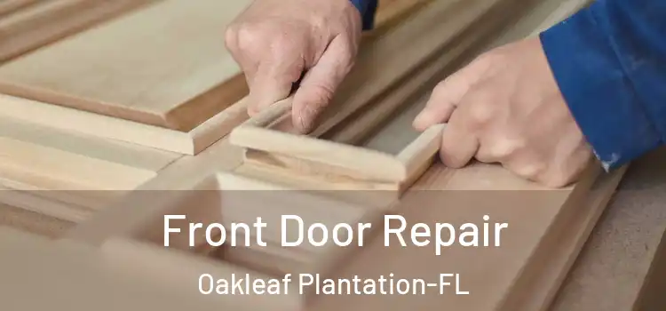  Front Door Repair Oakleaf Plantation-FL