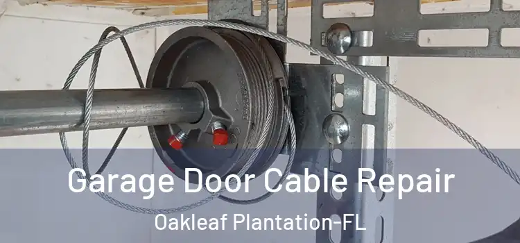  Garage Door Cable Repair Oakleaf Plantation-FL