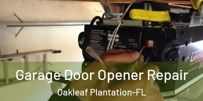  Garage Door Opener Repair Oakleaf Plantation-FL