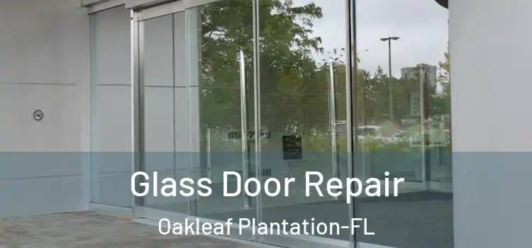  Glass Door Repair Oakleaf Plantation-FL