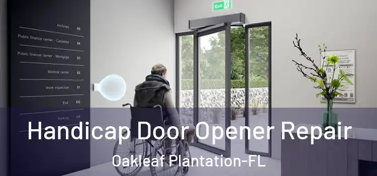  Handicap Door Opener Repair Oakleaf Plantation-FL