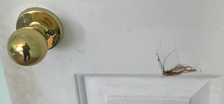 interior door hole repair Oakleaf Plantation