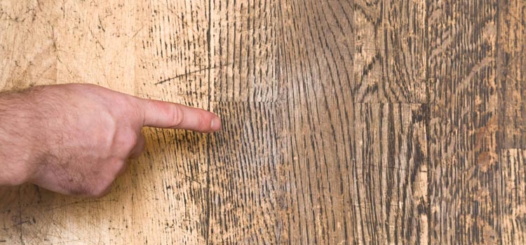 Wood Door Scratch Repair in Oakleaf Plantation