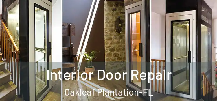  Interior Door Repair Oakleaf Plantation-FL