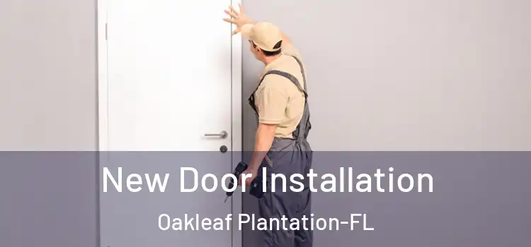  New Door Installation Oakleaf Plantation-FL