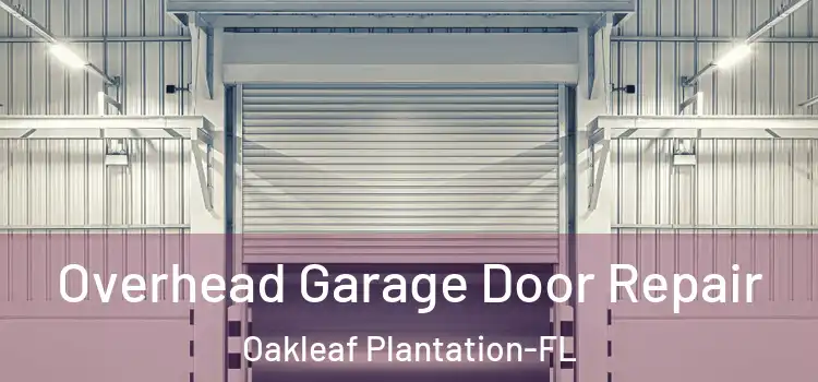  Overhead Garage Door Repair Oakleaf Plantation-FL