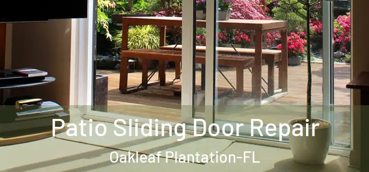  Patio Sliding Door Repair Oakleaf Plantation-FL