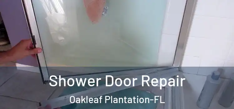  Shower Door Repair Oakleaf Plantation-FL