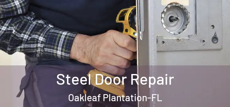  Steel Door Repair Oakleaf Plantation-FL