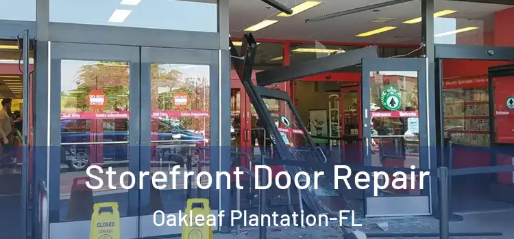  Storefront Door Repair Oakleaf Plantation-FL