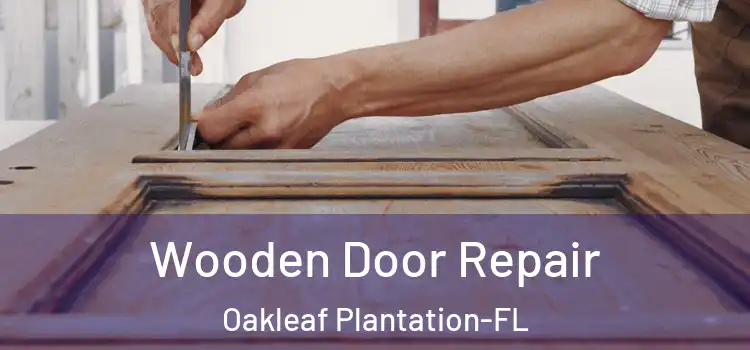  Wooden Door Repair Oakleaf Plantation-FL